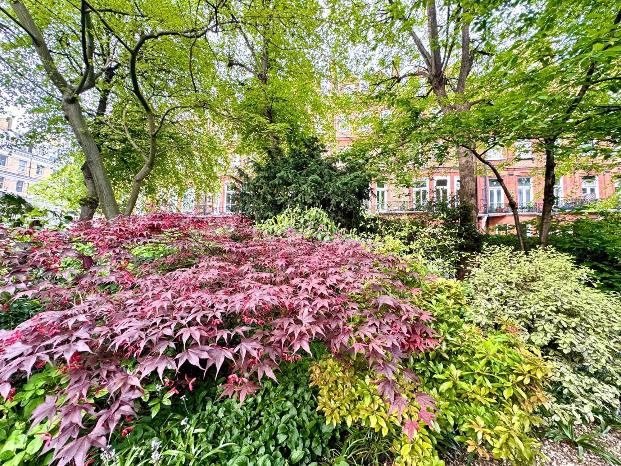 2 Bedroom Apartment In Central London South Kensington By Wild London Londres Exterior foto